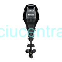 Suzuki DF9.9 BS pakabinamas valties variklis 4T - 9.9AG